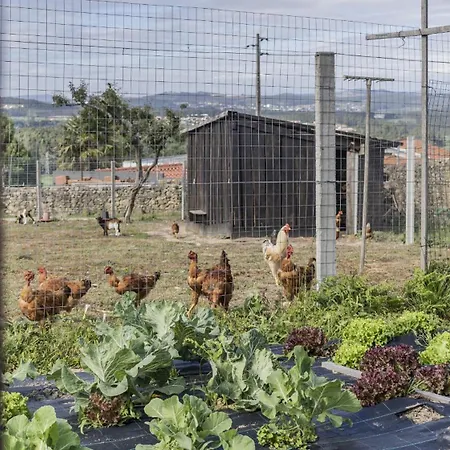 Quintinha Sao Martinho Luxury 2 Eira With Jacuzzi * Vila do Conde