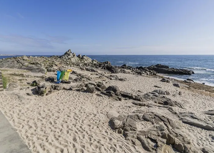 Quintinha Sao Martinho Luxury 2 Eira With Jacuzzi فيلا دو كوندي