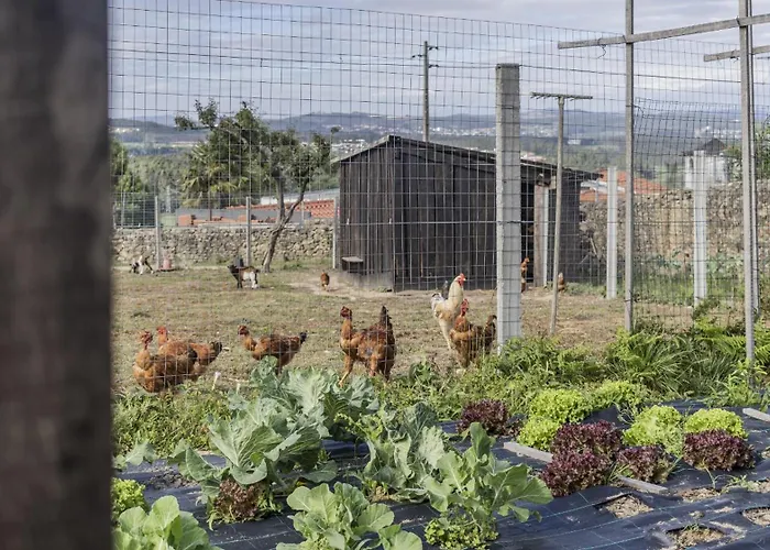 Quintinha Sao Martinho Luxury 2 Eira With Jacuzzi * فيلا دو كوندي